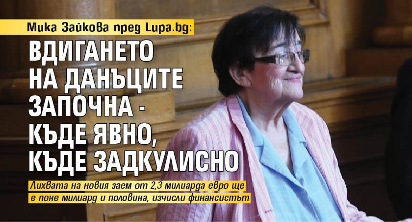Мика Зайкова пред Lupa.bg: Вдигането на данъците започна - къде явно, къде задкулисно 
