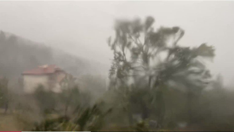 Ураган вилня в Родопите, има затворени пътища