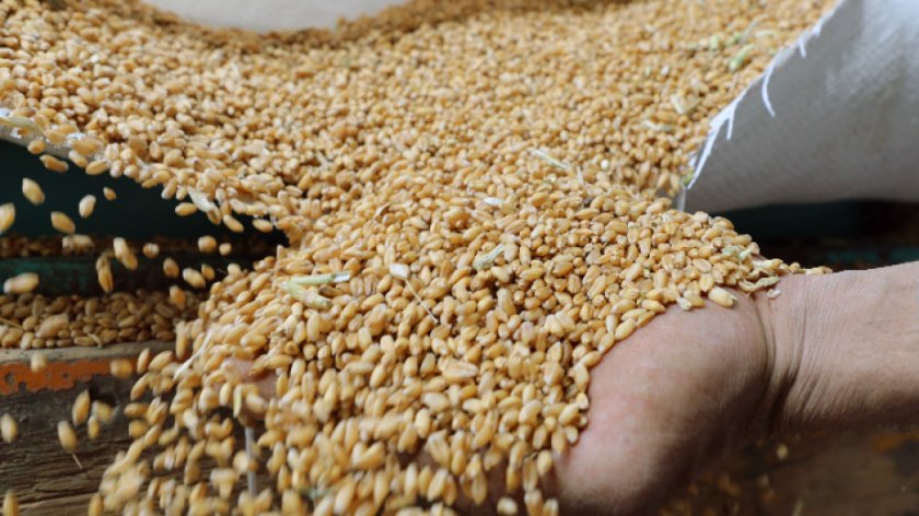 Русия е започнала обещаните безплатни доставки на зърно за Африка 
