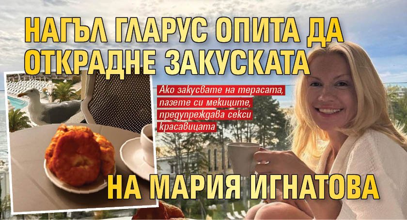 Нагъл гларус опита да открадне закуската на Мария Игнатова