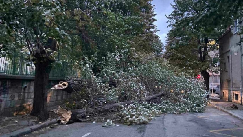 Във връзка с извънредно силния ураганен вятър и валежи, рязко