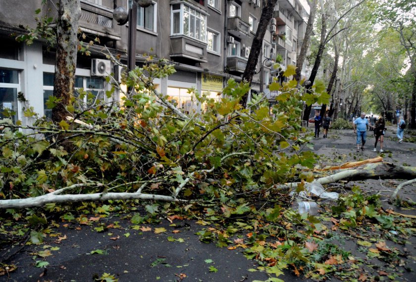 Трагичен инцидент заради ураганния вятър се случи и във Варна.