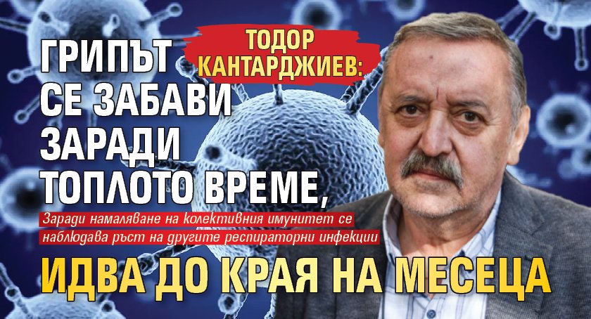 Тодор Кантарджиев: Грипът се забави заради топлото време, идва до края на месеца