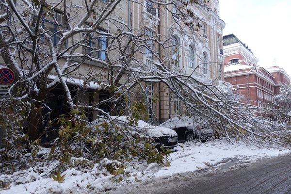 Глобяват фирми за непочистени спирки и улици в София