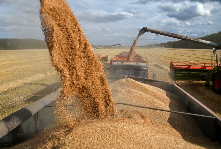 Русия спира износа на пшеница