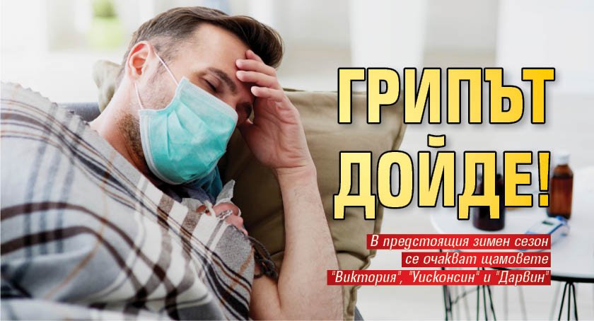 Грипът дойде! - Lupa BG