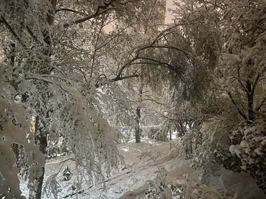 Делян Добрев: Повечето сме от село тука, ама ние не сме ли хора