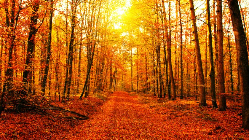 Времето се затопля в сряда. Минималните температури ще са между