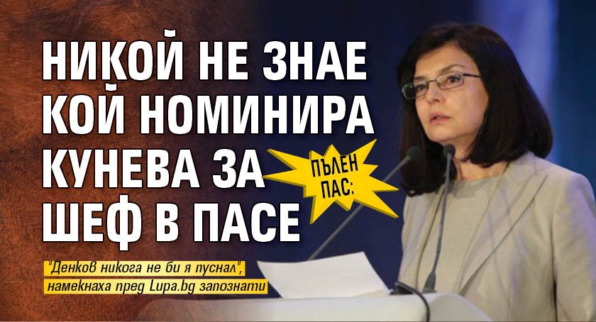 Пълен пас: Никой не знае кой номинира Кунева за шеф в ПАСЕ