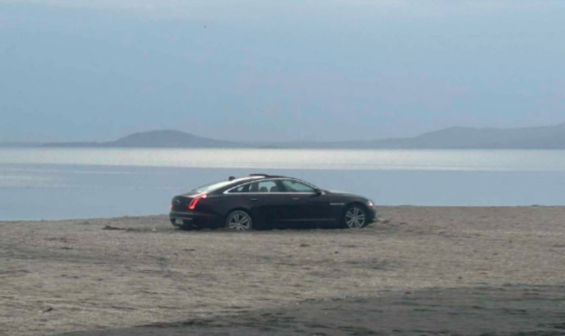 Ягуар закъса на Северния плаж в Бургас