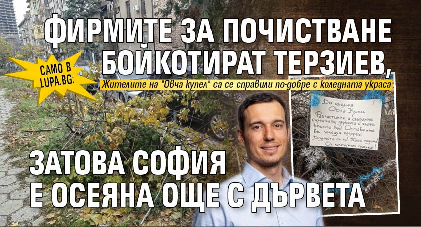 Само в Lupa.bg: Фирмите за почистване бойкотират Терзиев, затова София е осеяна още с дървета (СНИМКИ)