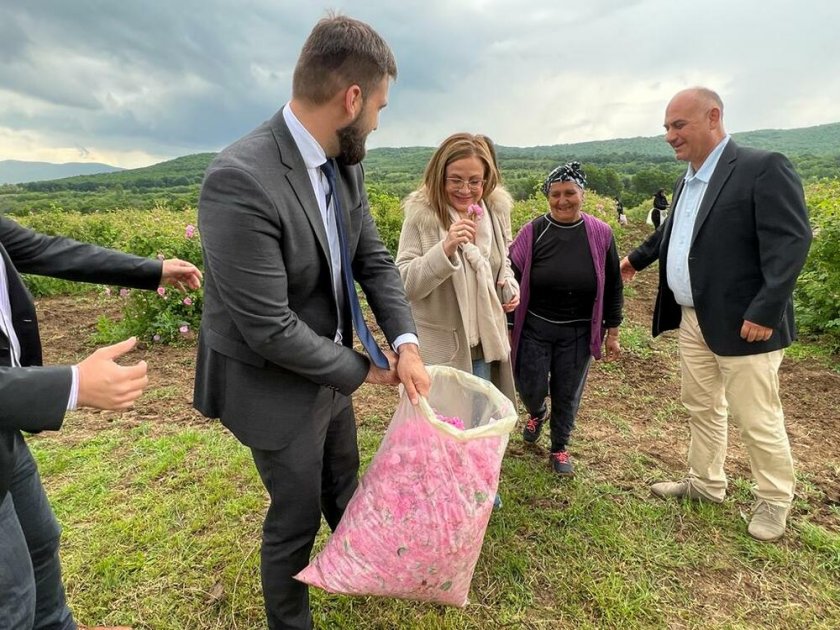 Розовото ни масло няма да попада в обхвата на опасните химически продукти