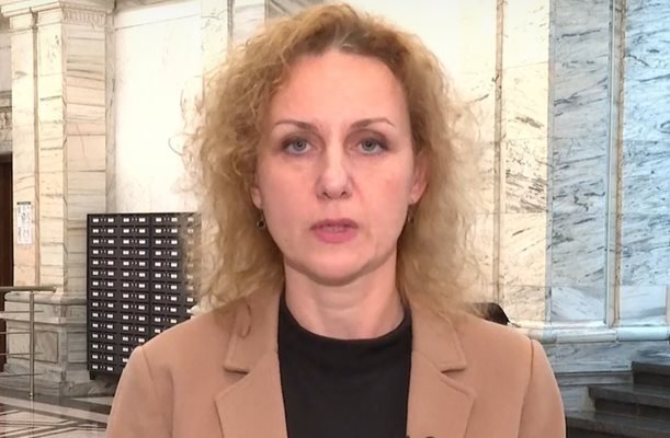 Панева, ПП-ДБ: Злоупотребите в доклада за "Пирогов" трябва да бъдат разследвани