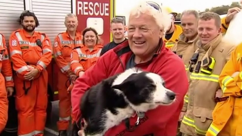 Спасиха куче, заседнало на скала в Австралия (ВИДЕО)