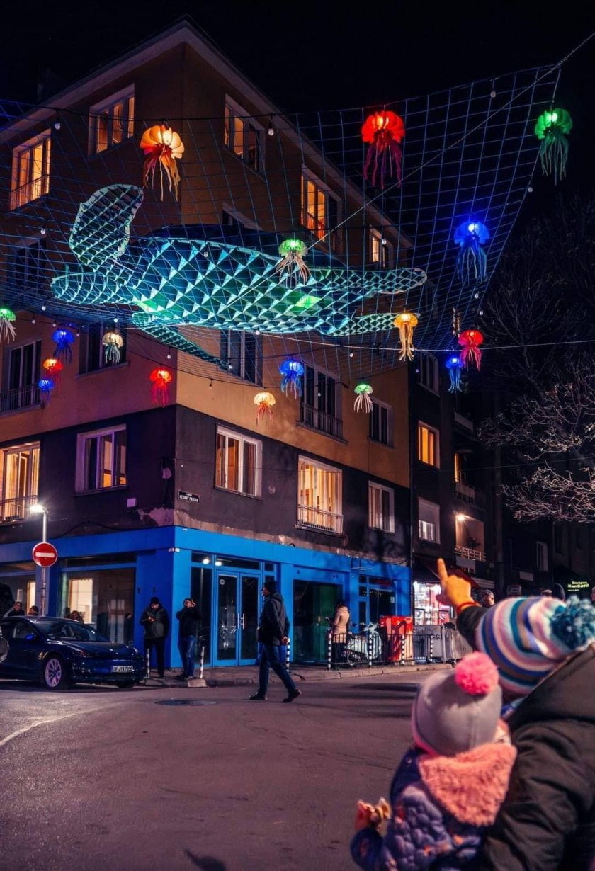 Коледната костенурка на малките Пет кьошета е тема №1 навсякъде. Едни