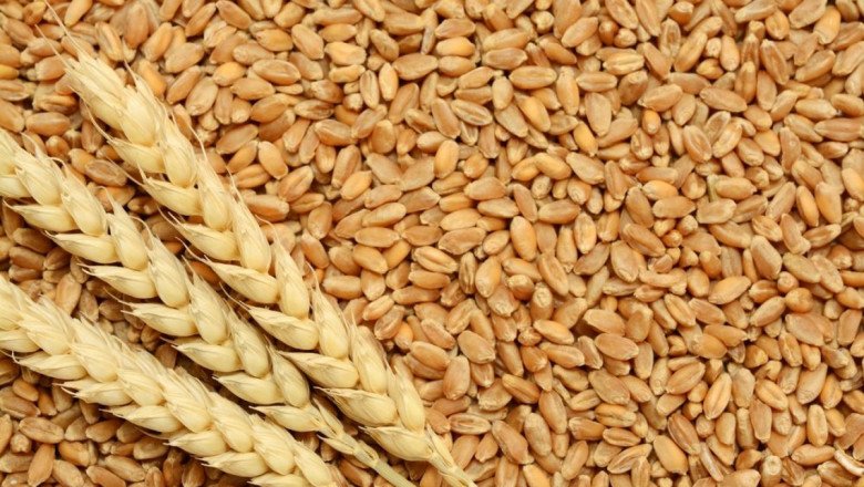 Цените на зърнените стоки тръгнаха надолу, но не и в Русия