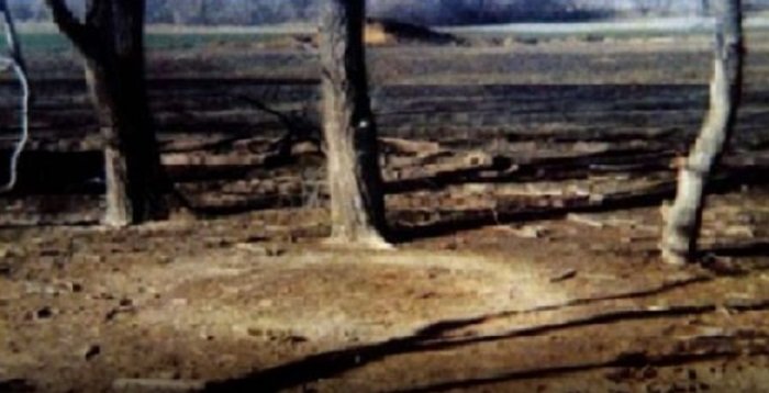 Снимка: НЛО като гъба стряска Канзас