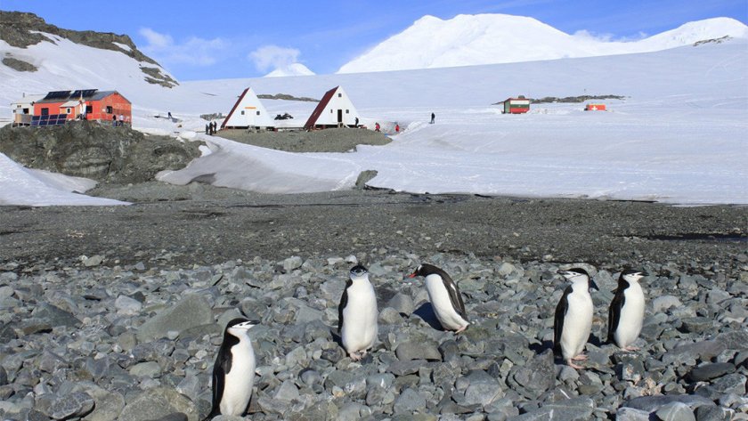 Потегля 32-рата Национална антарктическа експедиция