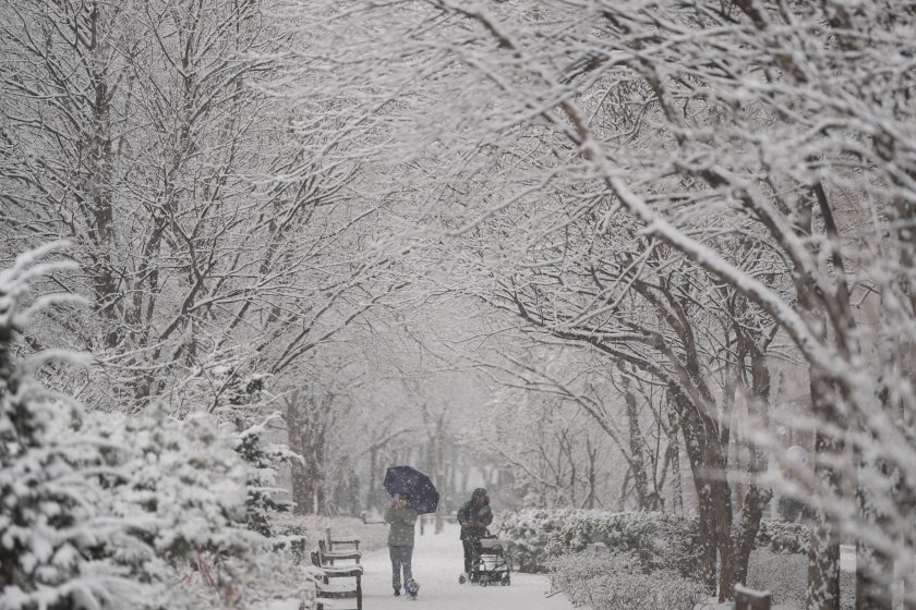 В южнокорейската столица Сеул вчера бе регистриран най-големият снеговалеж за