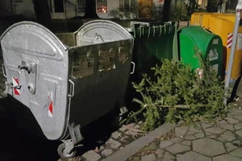 Кметът на София призова да не се изхвърлят естествените елхи