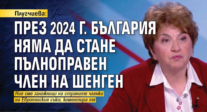 Плугчиева: През 2024 г. България няма да стане пълноправен член на Шенген 