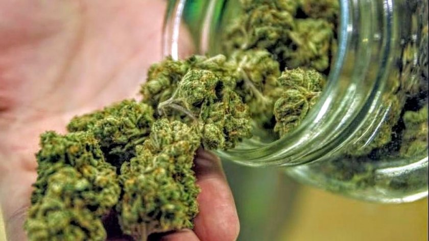 Иззеха над 100 грама марихуана в буркан в Харманли