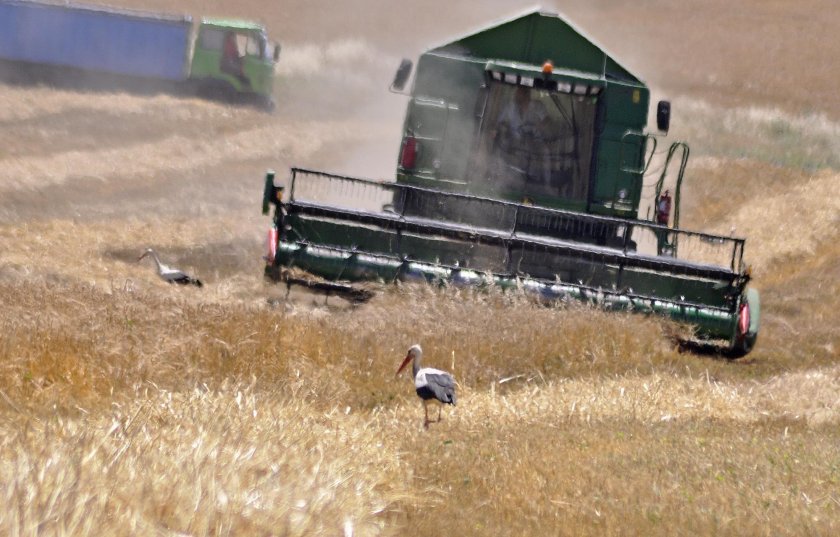 Украинският посланик в Турция: Водят се преговори за нова зърнена сделка