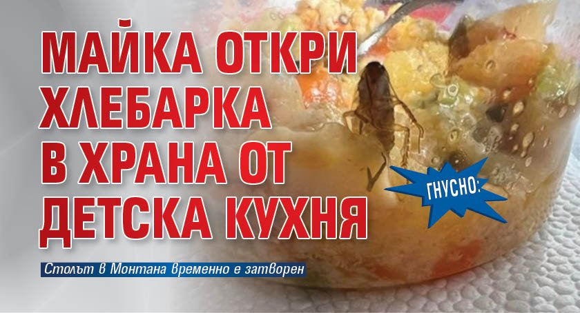 ГНУСНО: Майка откри хлебарка в храна от детска кухня (СНИМКИ)