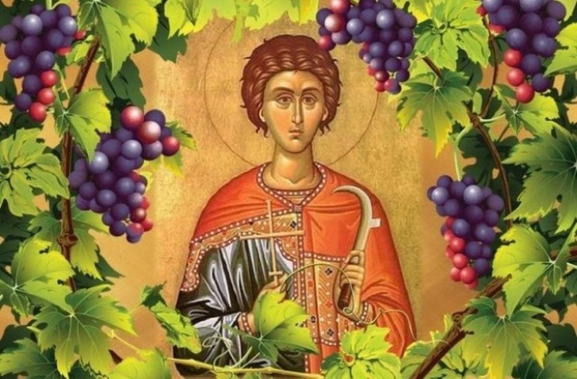 На 1 февруари имен ден празнува Трифон. Православната църква почита