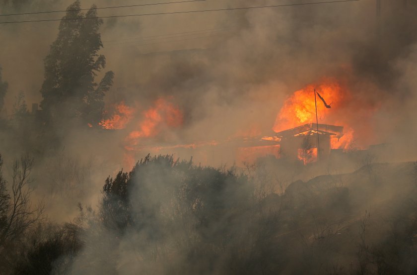 Горските пожари, които бушуват в централната част на Чили, са