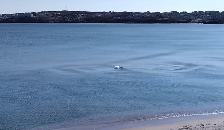 ХИТ ФОТО! Квадратни вълни край Созопол (ВИДЕО)