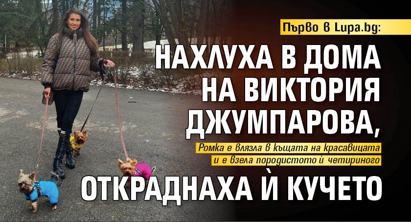 Първо в Lupa.bg: Нахлуха в дома на Виктория Джумпарова, откраднаха й кучето