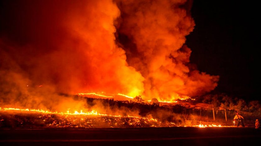 Няма пострадали българи при пожара в Северна Калифорния