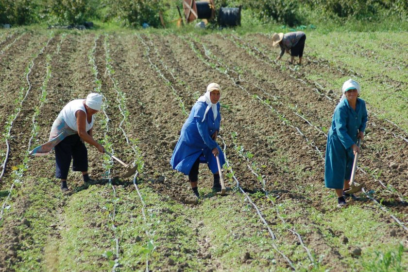 Разкриха измама за над 14 млн. лв. във фонд "Земеделие"