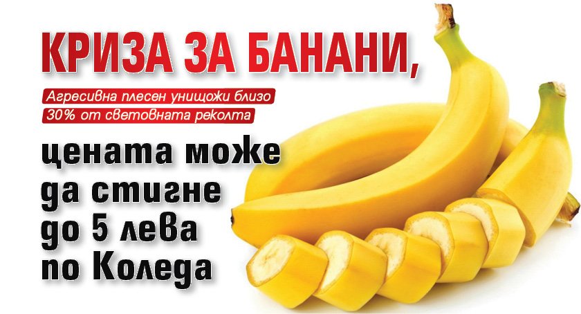 Криза за банани, цената може да стигне до 5 лева по Коледа