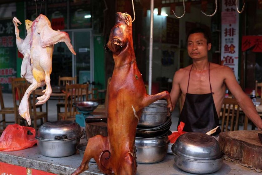 Средновековие: Китай минава на кучешко заради чумата