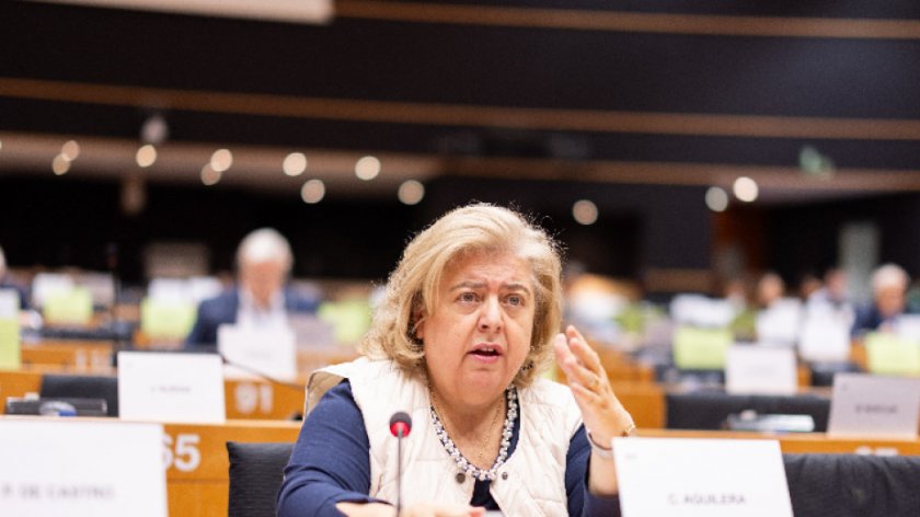 Евродепутатка призова ЕК да следи вноса на мед от Украйна