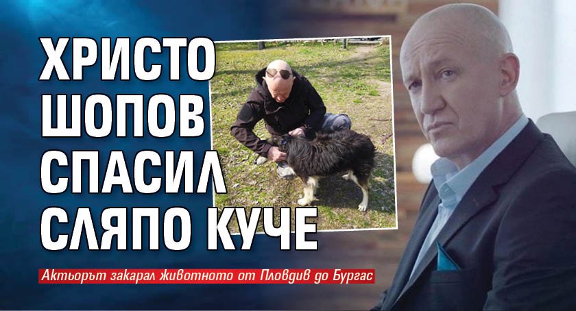 Христо Шопов спасил сляпо куче