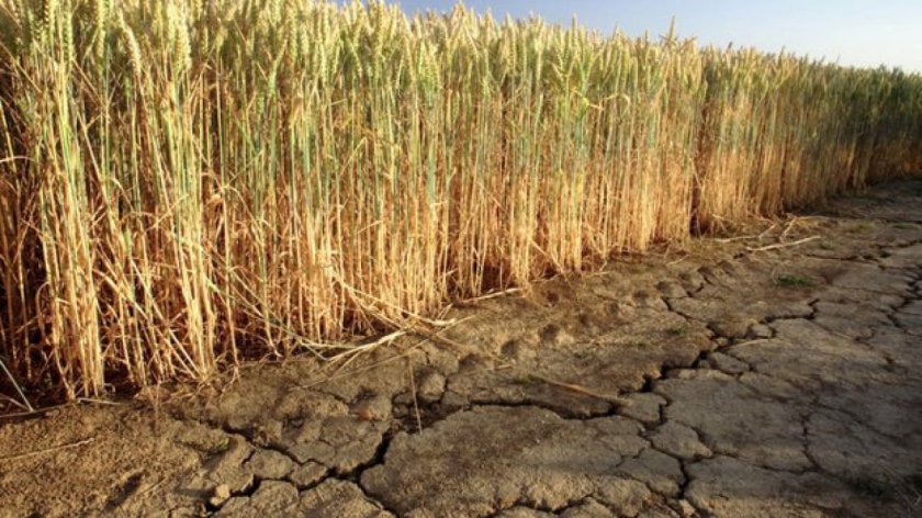България тепърва да се готви за суша