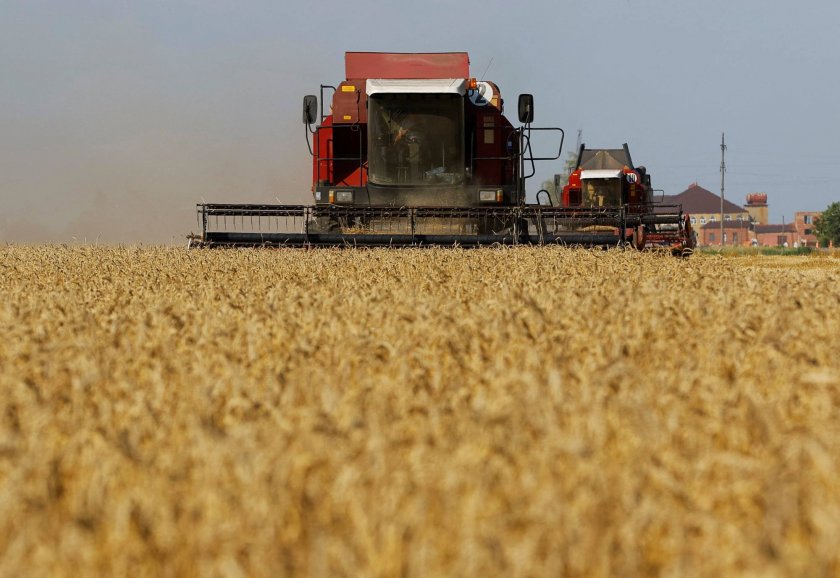 ЕС се готви да наложи мита върху вноса на зърно от Русия и Беларус