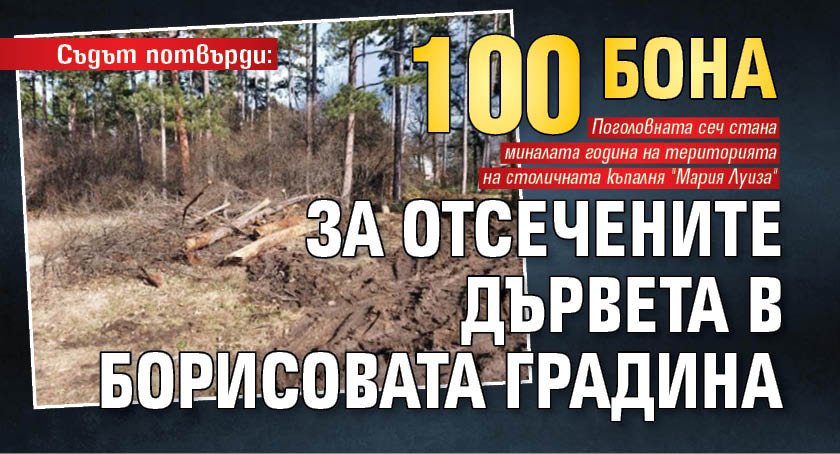 Съдът потвърди: 100 бона глоба за отсечените дървета в Борисовата градина