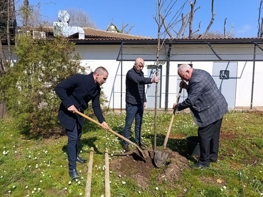 Мащабна залесителна акция започва в Созопол. Първото дърво засади кметът