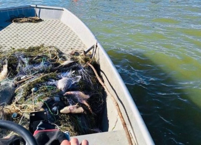 Конфискуваха 700 кг риба край Бургас 