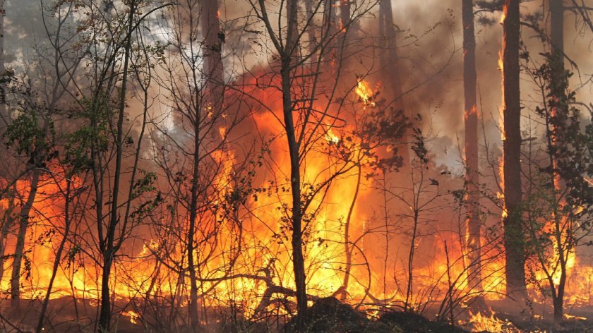 Горят два големи пожара в района на Копривщица. Горски служители