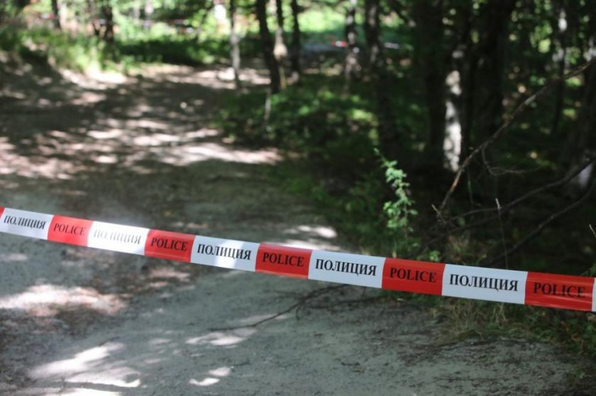 Тръгва делото срещу 17-годишния младеж за убийството на овчар в Пловдивско