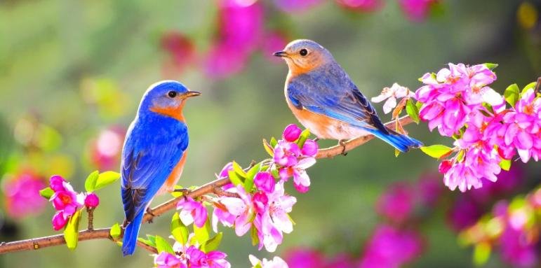 Тази година април се очертава да е с необичайно високи