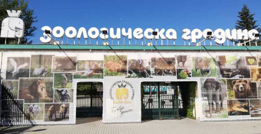Столичният Зоопарк минава на лятно работно време от утре
