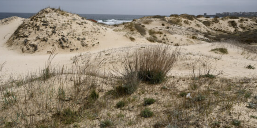 Местност Камчийски пясъци отново е защитена, съобщават от Министерството на околната