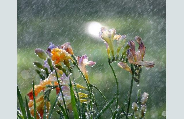 Времето днес &ndash; дъжд и гръмотевици