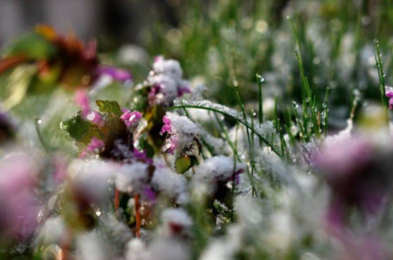 Идната седмица след средата ще има рязко снижаване на температурата,